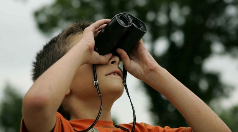Best binoculars for kids 2021: Top picks for getting a close-up view of the cosmos