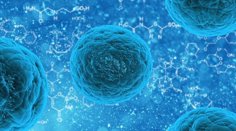 For stem cells, bigger doesn't mean better