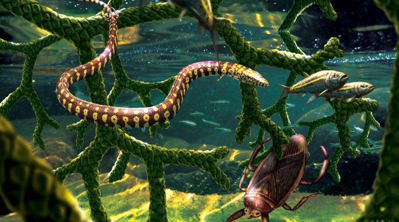 Paleontologists debunk fossil thought to be missing link between lizards and first snakes