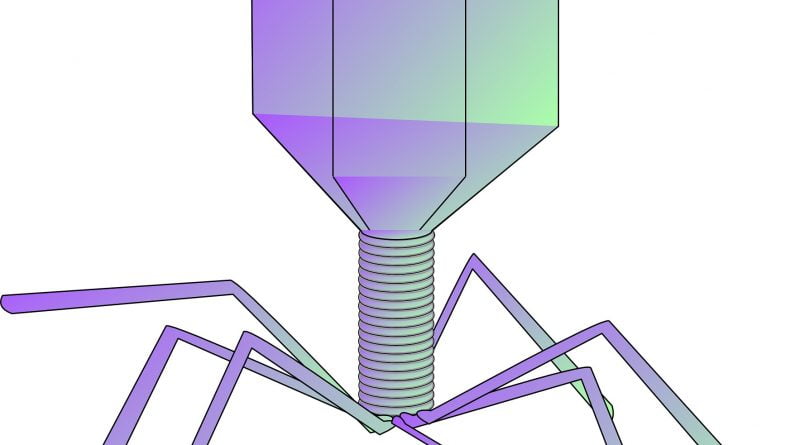 Phages kill dystentery-causing bacteria and reduce virulence in surviving bacteria