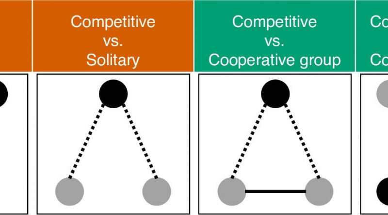 Study determines whether cultures play games that correspond to how cooperative they are