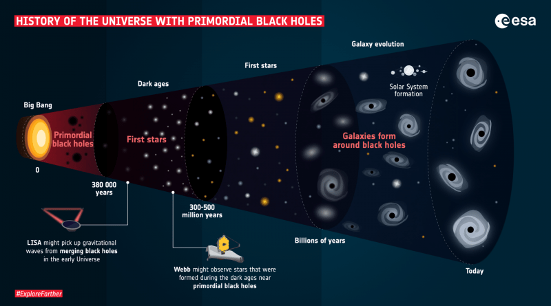 History of the Universe with primordial black holes
