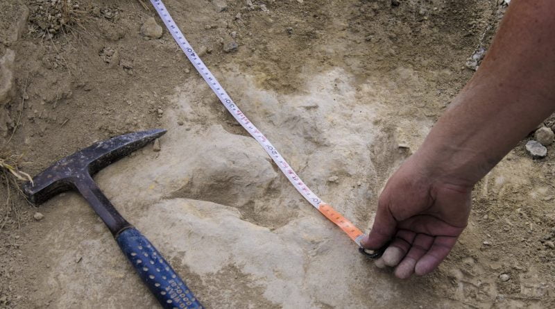 Footprints show some two-legged dinosaurs were agile