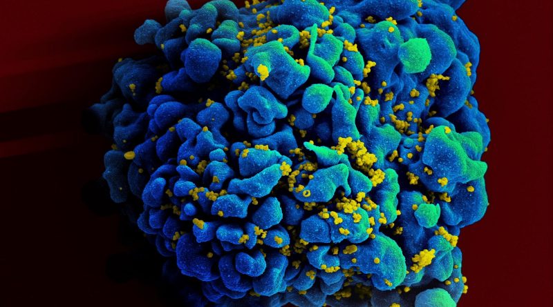 Meth use, intimate partner violence weaken immune function in HIV-positive men